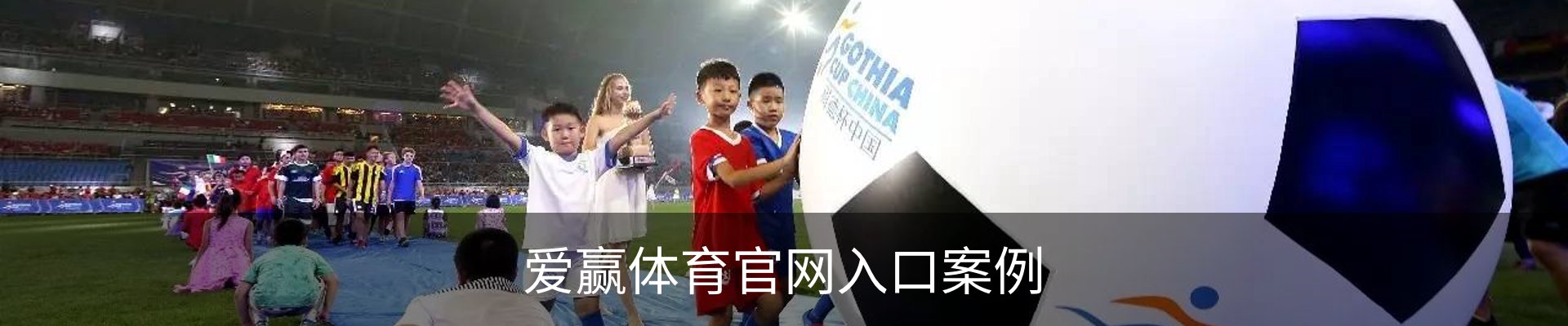 爱赢体育官网入口案例