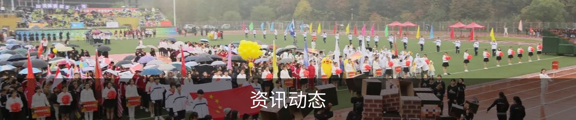 资讯动态